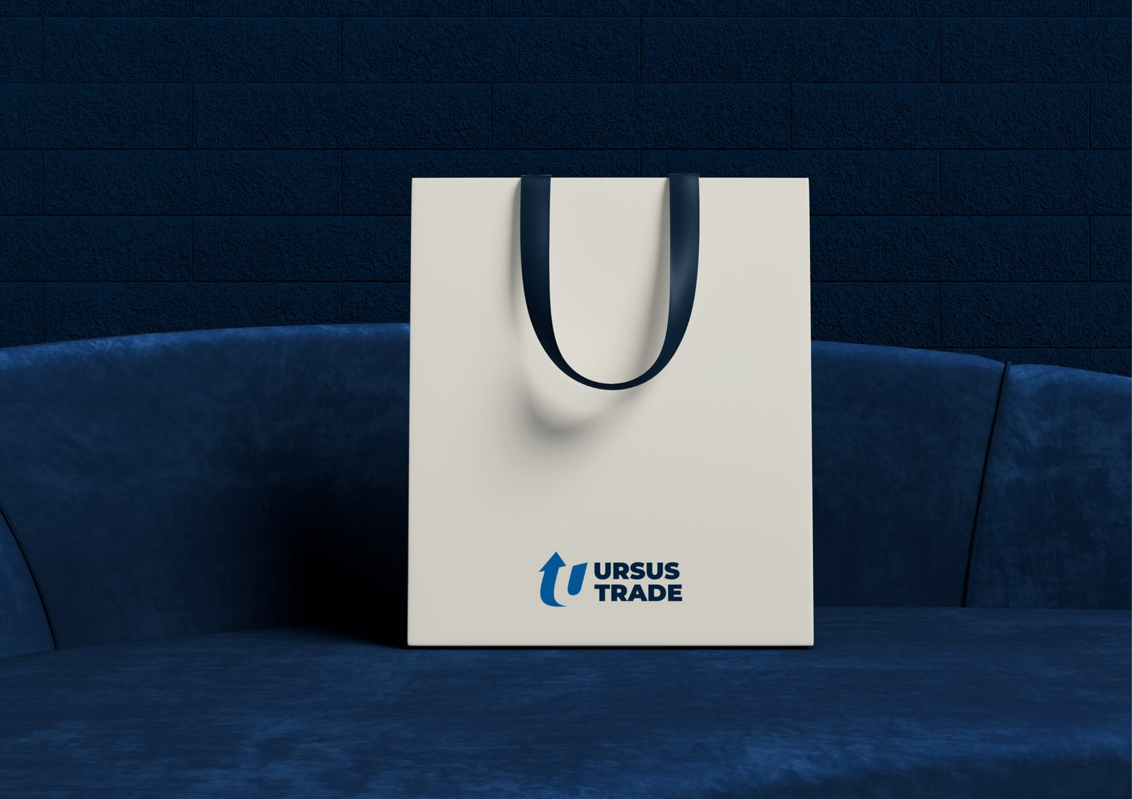 Packet_big — gift bag 450×550×200